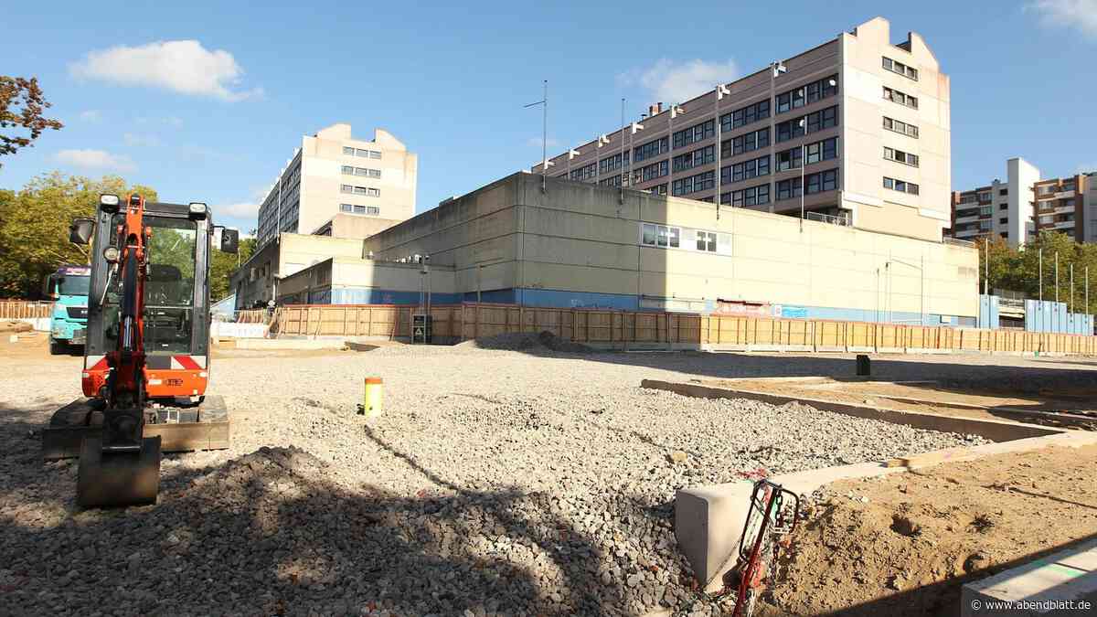 Ratten rund um Hamburger Einkaufszentrum – Stadt weist Hygienemängel zurück