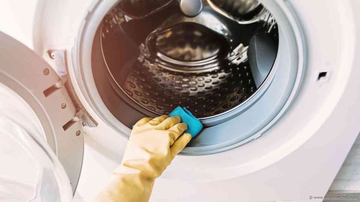 I used Dettol, Dr. Beckmann and white vinegar to clean my washing machine – 1 was the best