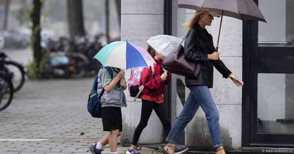 Paraplu’s in de aanslag: wisselvallige donderdag op komst