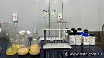 WA Jupiter giant repeats 58% rare earths carbonate trick for Critica