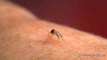 Importierte Infektionskrankheit: Mückenschutz soll Malaria-Fälle in Frankfurt eindämmen
