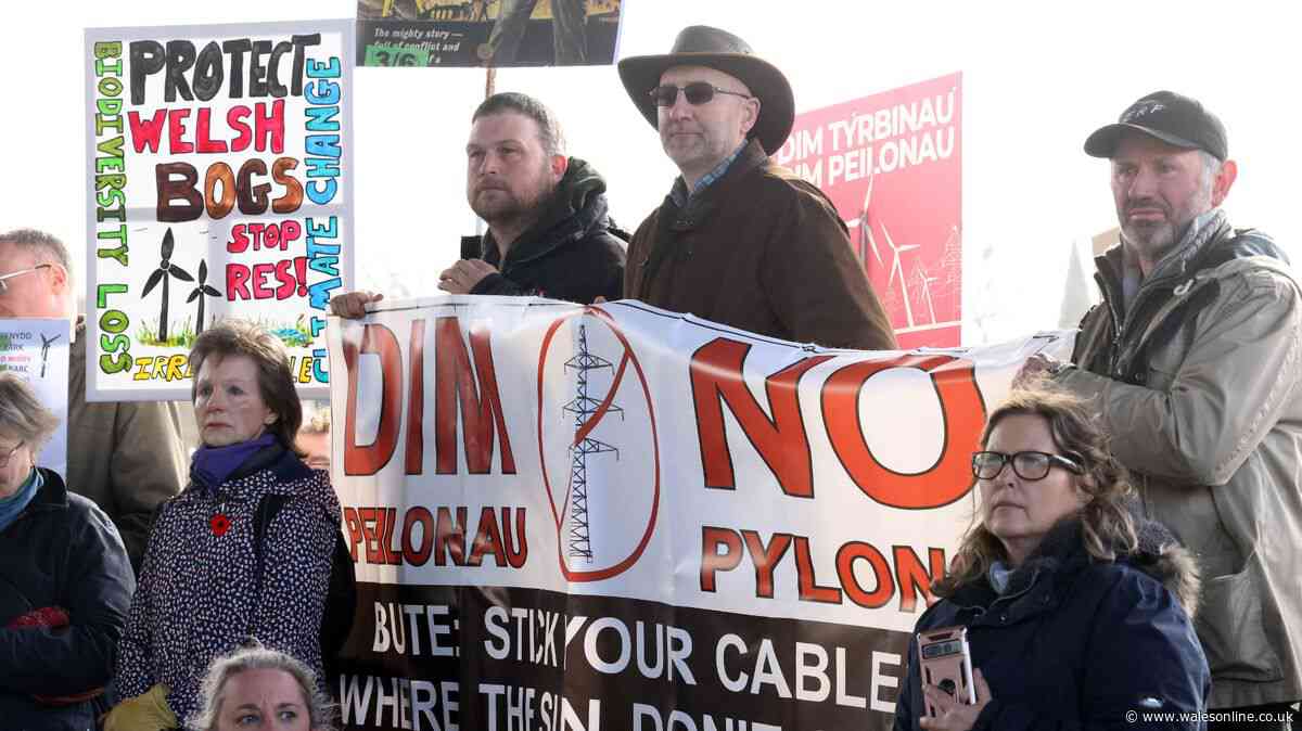 New designs revealed for controversial pylon superhighways planned for Wales