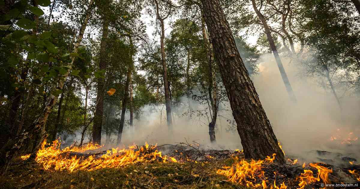 ‘Veel gebouwen met kwetsbare mensen liggen in gebieden met risico op natuurbranden’