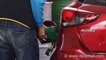Petrol cars should pay double for 'the cost of their pollution', electric vehicle advocates say