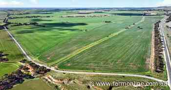 A 143ha Mid North farm block in SA attracts spirited bidding