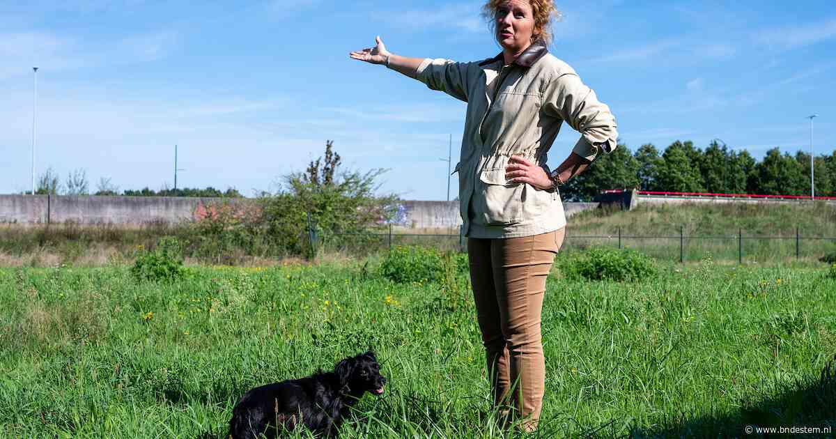 Initiatiefneemster hondenpension Etten-Leur bijt van zich af: ‘Buurt kan gerust zijn, blaffers zijn hier niet welkom’