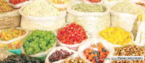 Over 5bn people rely on forests for livelihoods — FAO