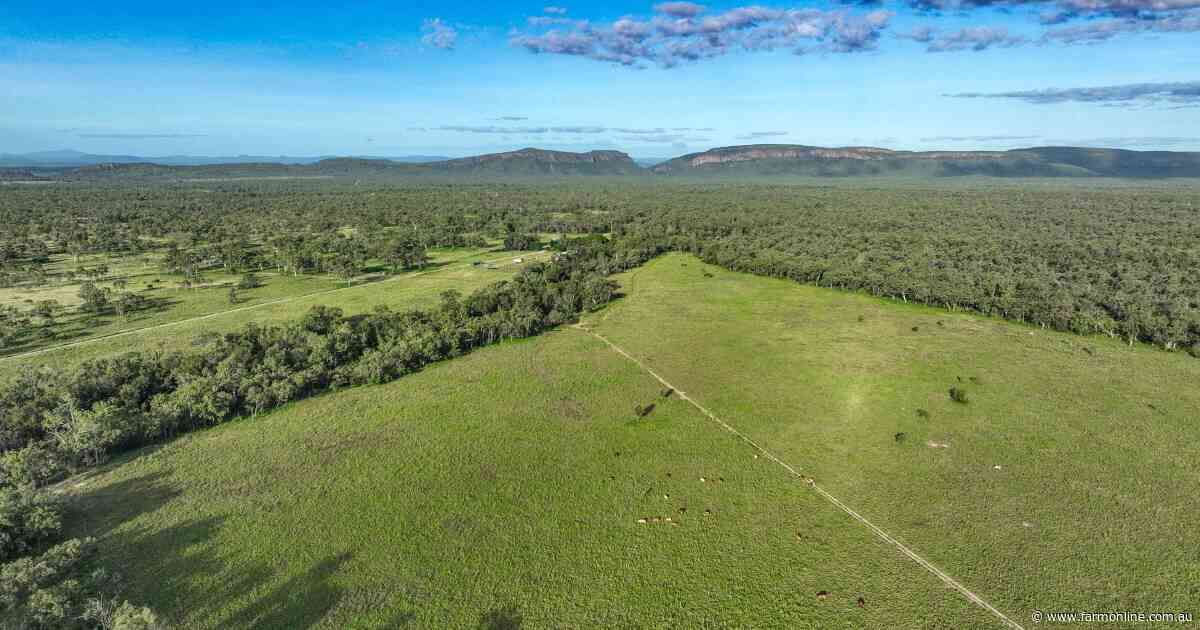 Palgrove buys far north Queensland property in major expansion