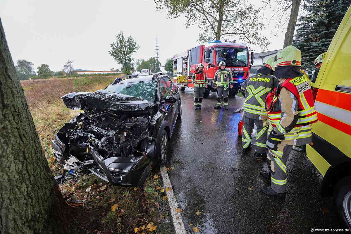 Unfall in Hohenstein-Ernstthal: Dacia kracht gegen Baum