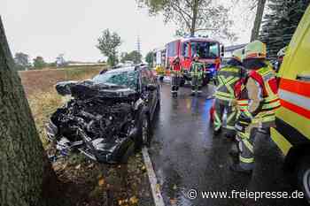 Unfall in Hohenstein-Ernstthal: Dacia kracht gegen Baum