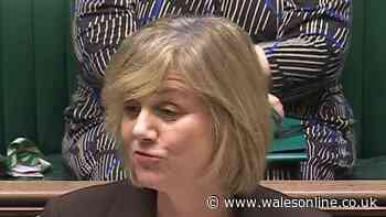 DWP explains HMRC child maintenance CMS rules for 1 key group - new update
