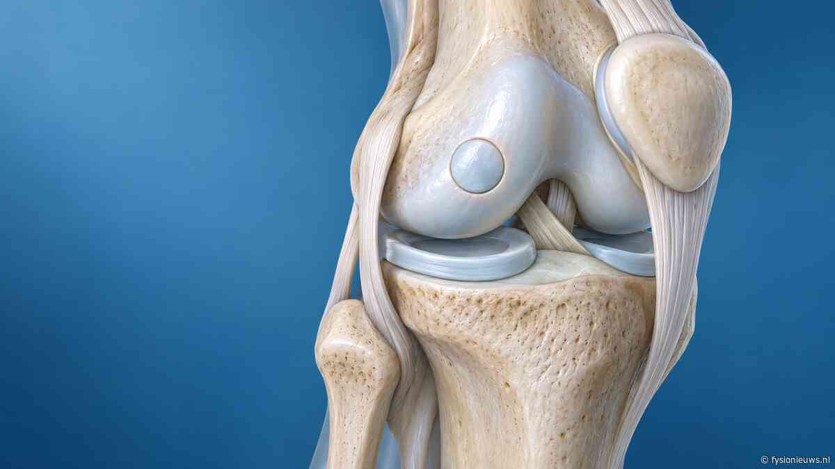 UMC Utrecht voert eerste Nederlandse bot-kraakbeentransplantatie in knie uit