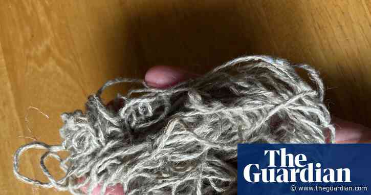 Country diary: Facing the flax – this city was once built on the stuff | Mary Montague