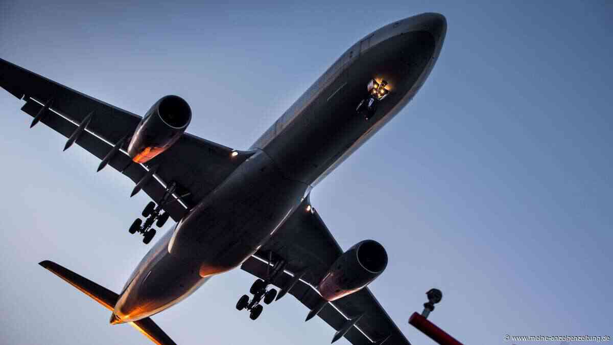 Malaria durch Mücken am Flughafen? So kann man sich schützen