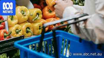 Farmers' federation says migration policy will trigger higher food prices — as it happened