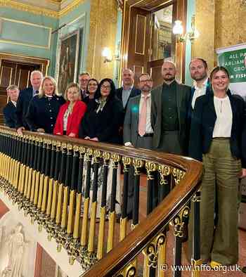 Momentum growing towards a national fishing strategy