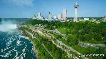 Gondola-type tram system proposed for Queen Victoria Park in Niagara Falls, Ont.