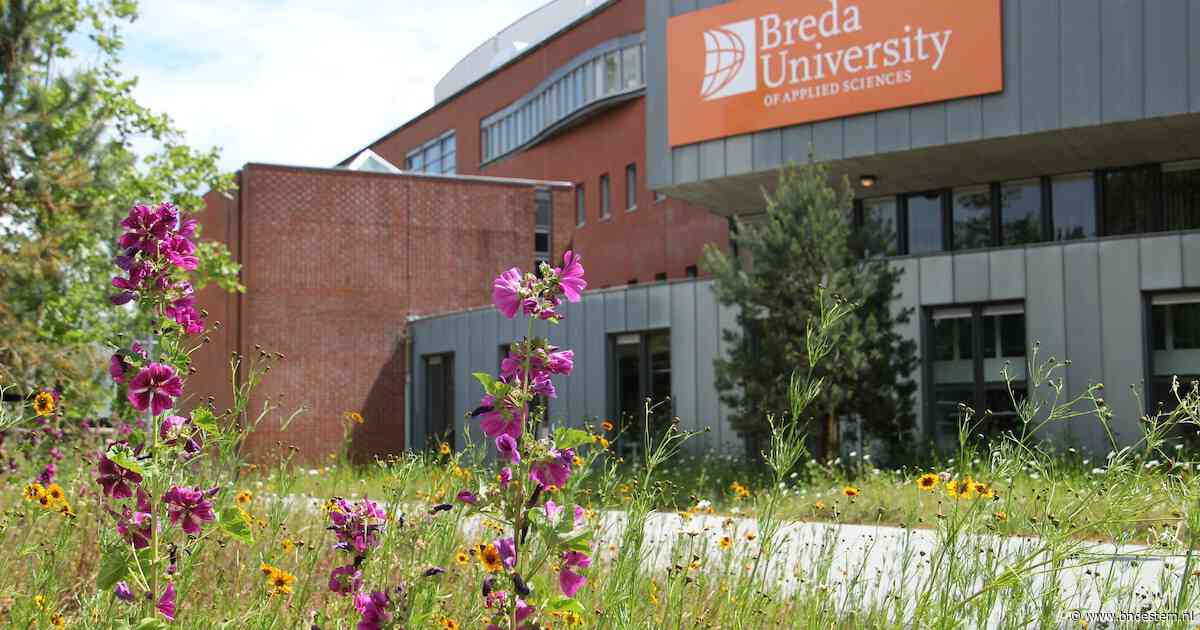 In de herkansing: hogeschool BUas werkt opnieuw aan plannen voor studentenwoningen op campus
