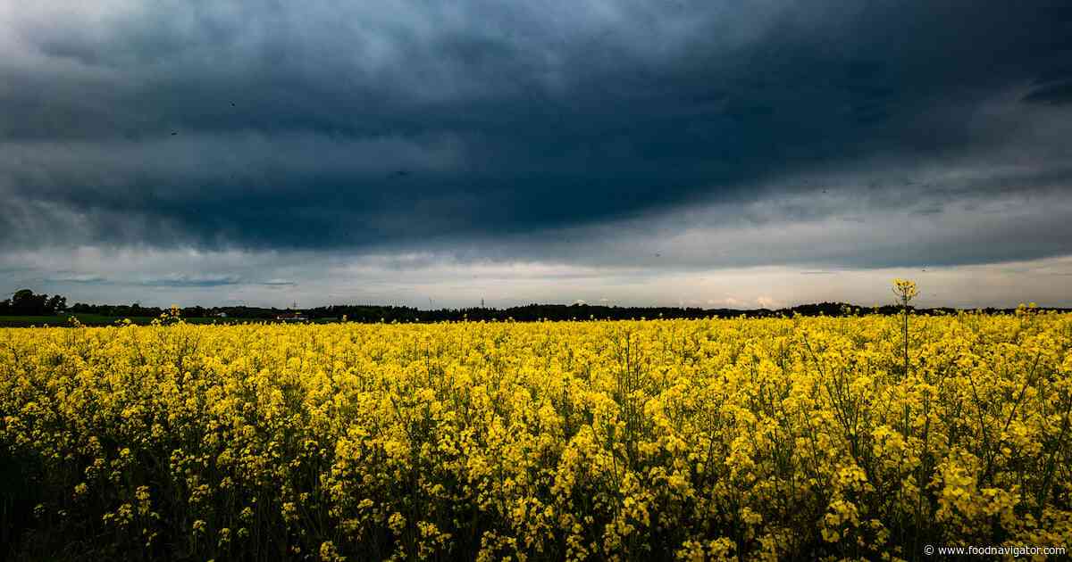 Which food commodities are threatened most by ‘Godzilla’ El Niño?