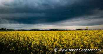 Which food commodities are threatened most by ‘Godzilla’ El Niño?