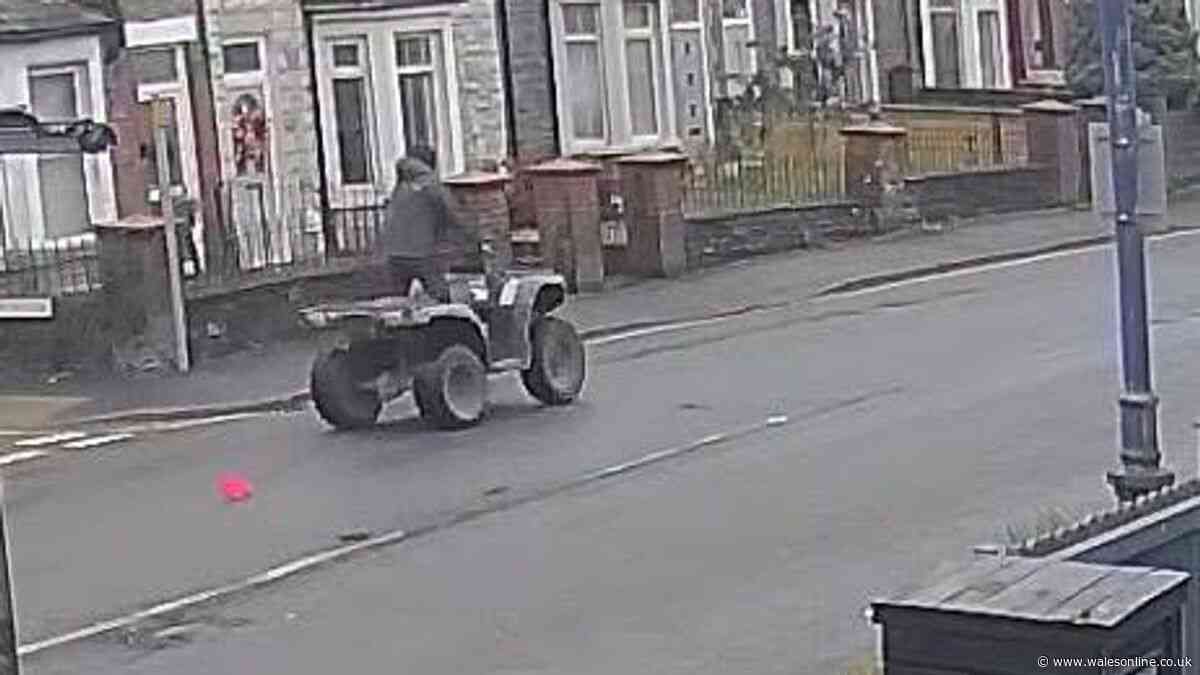 Teen arrested over injuries to puppy and dog run over by quad bike in Trethomas
