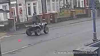 Teen arrested over injuries to puppy and dog run over by quad bike in Trethomas