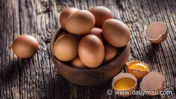 Warning as salmonella cases jump again - another 37 Britons sickened by bug linked to eggs that's killed 2