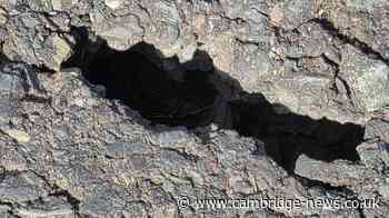 Locals say peat soil excuse for bad roads is 'wearing a bit thin'