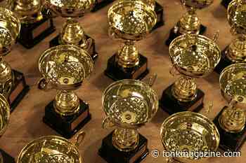De nieuwe online media awards komen eraan