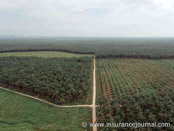 El Niño, War Raise Asia’s Food Security Risks, Verisk Maplecroft Says