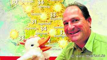 Ein Merkur-Urgestein berichtet: Wie Paula zur Reporter-Ente wurde – und worüber sie besonders gerne schnattert