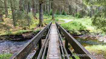 Beautiful walking spot in Wales is so glorious it even looks 'stunning' in the rain