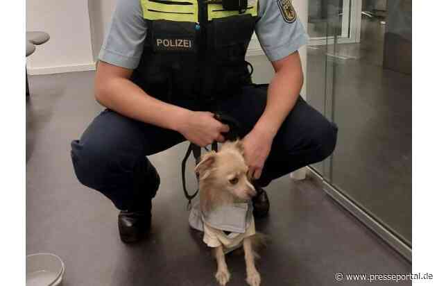 BPOL-HB: Ungewöhnlicher Einsatz im Bremer Hauptbahnhof - Bundespolizei nimmt Hund in Gewahrsam