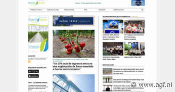 De Spaanse of Mexicaanse markt op via HortiDaily