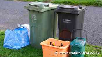 Binman's crucial tip for putting your wheelie bin out in rainy weather