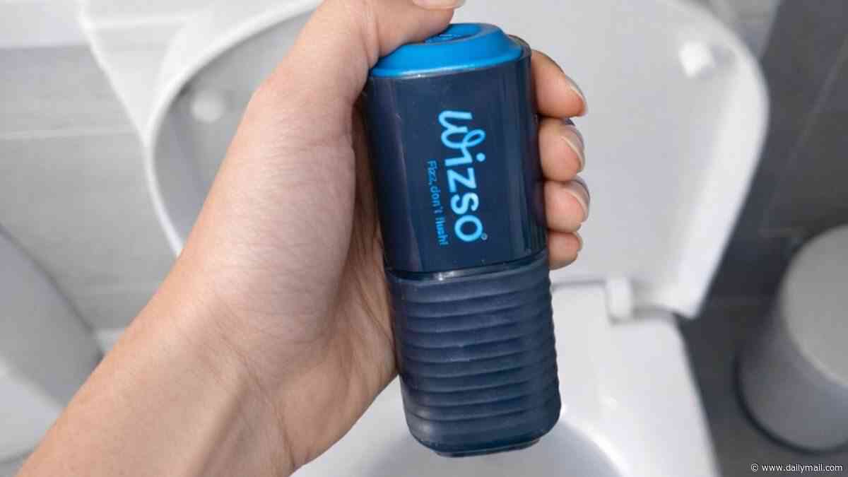 Would YOU stop flushing the toilet to save the planet? Woke environmental scientists want Brits to switch to perfumed pellets to help conserve water