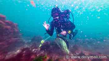 Diver explores mysterious British town beneath the sea that vanished 700 years ago and was home to just 117 people