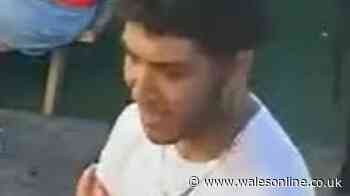 Police searching for man after 'large fight' on Cardiff street