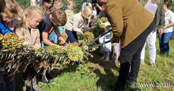 Vernieuwde Kikkertuin in Esch is officieel open
