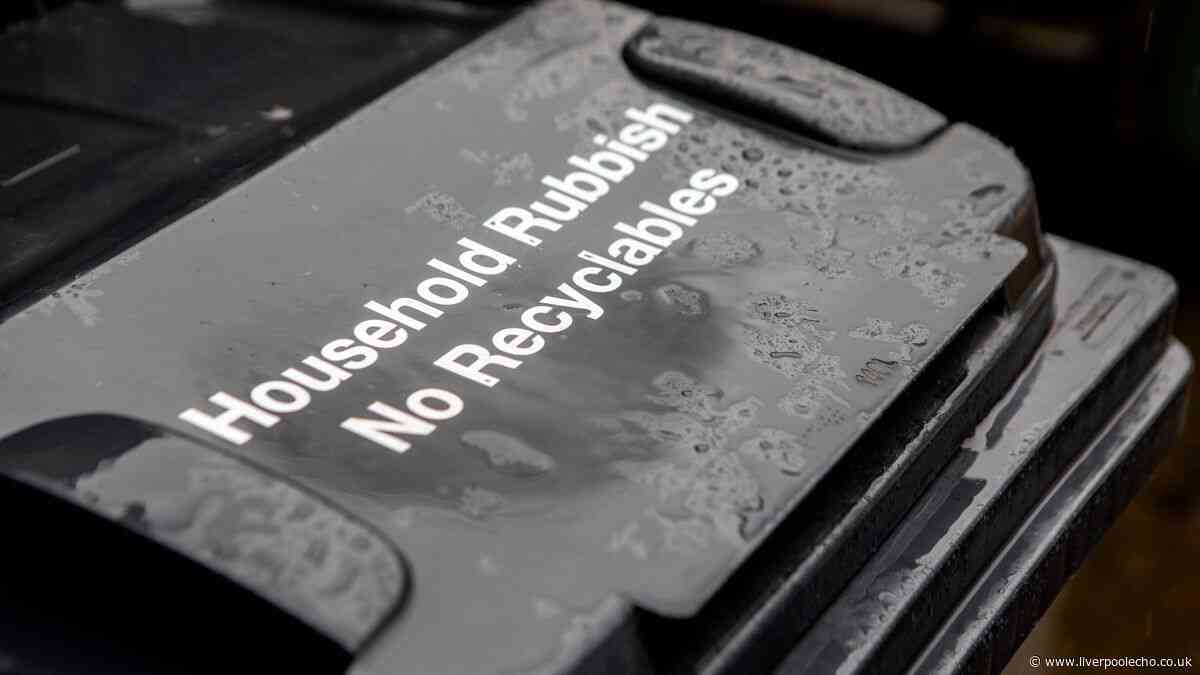 Binman urges Brits to follow simple bin rule when it rains to prevent missed collections