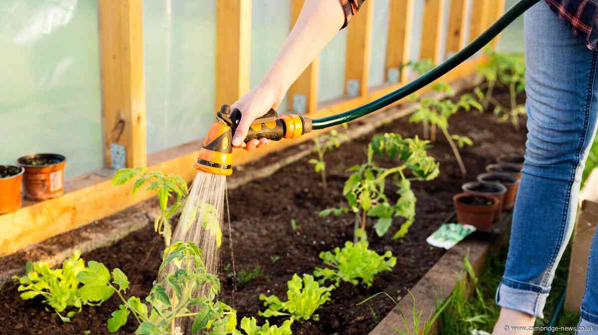 Cambridgeshire hosepipe ban to remain in place for 'several months'