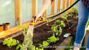 Cambridgeshire hosepipe ban to remain in place for 'several months'