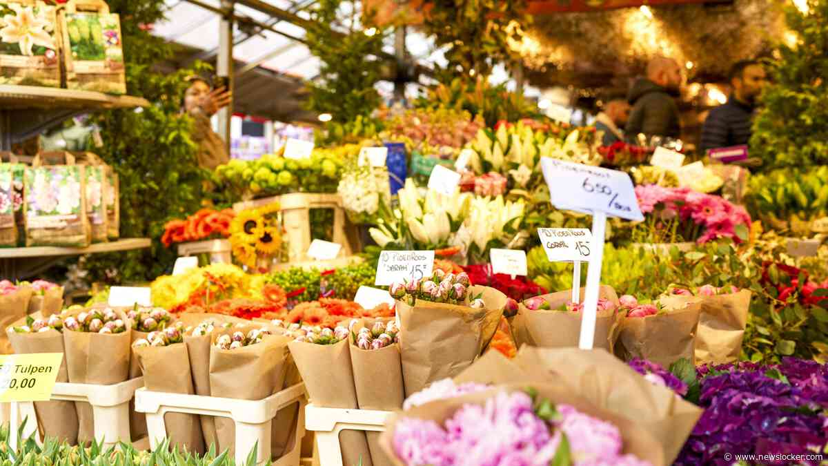 Praat mee: Ga jij minder bloemen en planten kopen als de BTW van 9 naar 21% gaat?