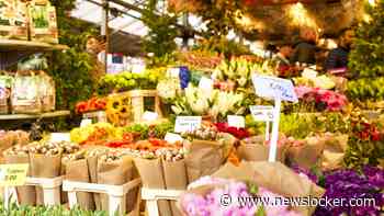 Praat mee: Ga jij minder bloemen en planten kopen als de BTW van 9 naar 21% gaat?