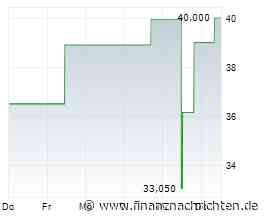 hep global sortiert Management neu