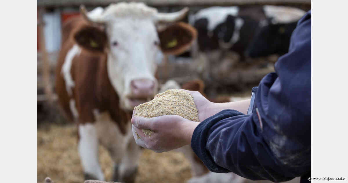 Duitstalige bio-organisaties starten gezamenlijk systeem voor veevoergrondstoffen