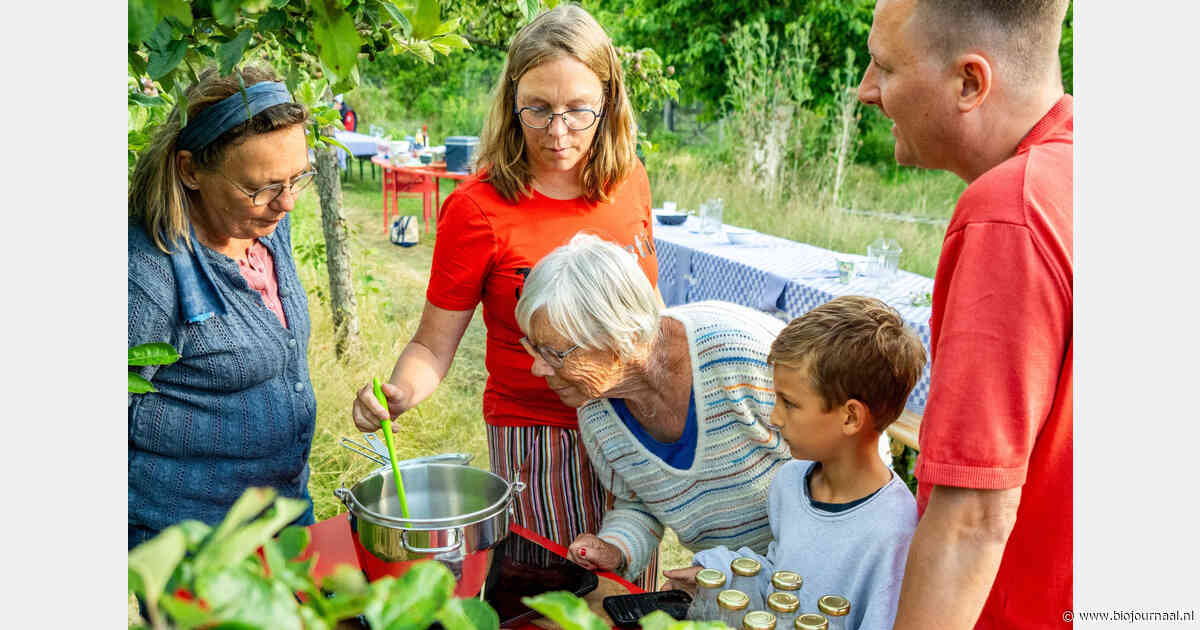 Grootste Picknick van Almere tijdens biologische boerenmarkt