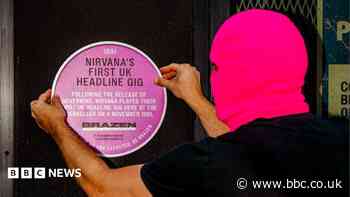Why have pink plaques suddenly appeared?