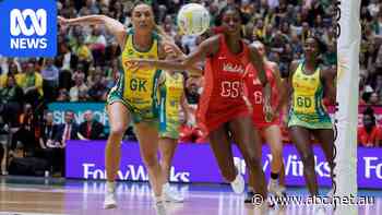 Netballer fined after unprecedented assault charge