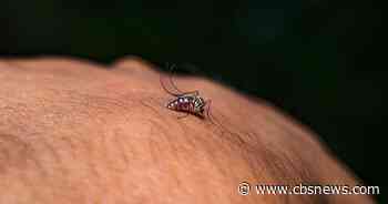 Georgians react to first West Nile virus death of 2026